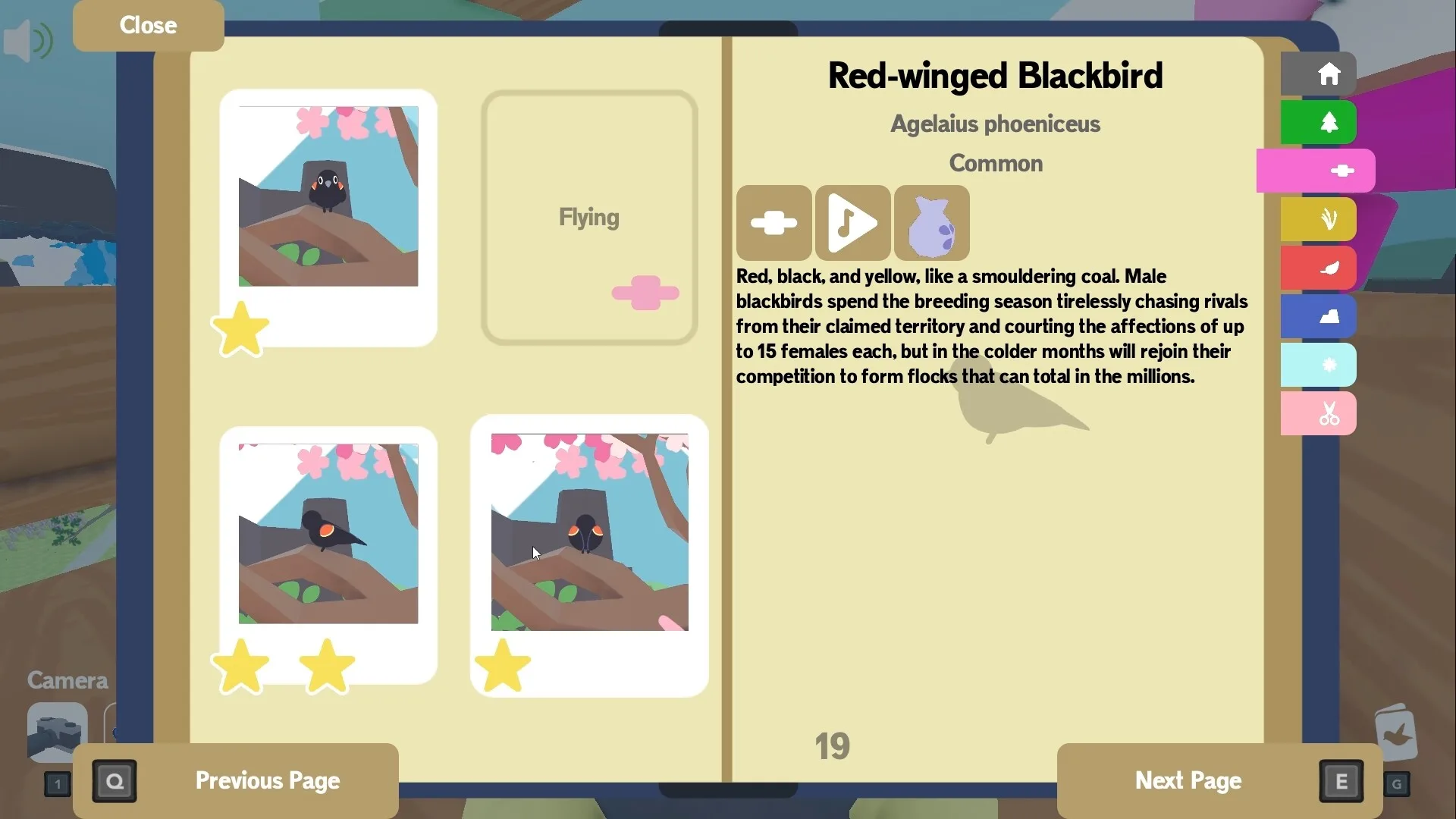 成群结队/Flock Around