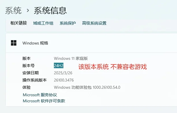 图片[4]-游戏无法打开常见问题-熊猫游戏网